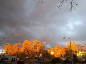Golden hour sunset--setting the trees aglow with a rainbow, too, for good measure.